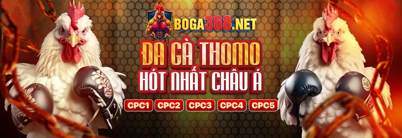 Hình ảnh chính của Blog bet365, thể hiện sự sôi động của cá cược trực tuyến